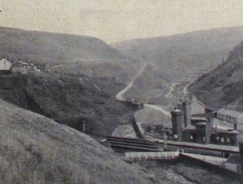 The Wild Beauty of Woodhead