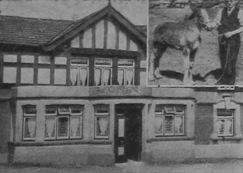 Pack Horse (Mottram)