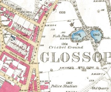 Clip from OS Map 1879 showing location of the old cricket ground