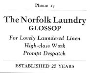 Norfolk Laundry advertisement
